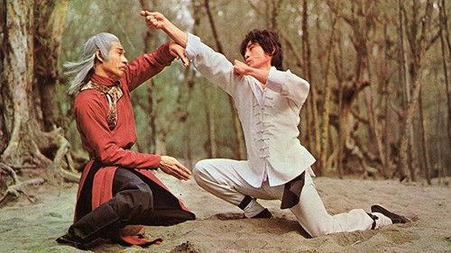 Shaolin Kung Fu Master filmas žiurėti online