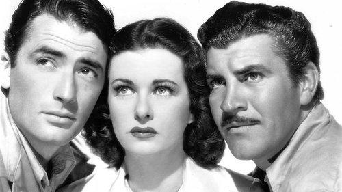 The Macomber Affair filmas žiurėti online