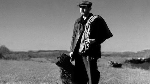 It Happened at the Inn filmas žiurėti online