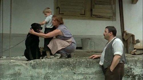 The Boat Is Full filmas žiurėti online