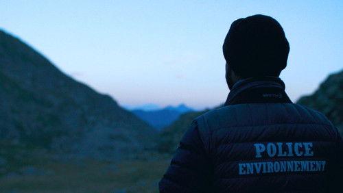 The Shepherd and the Bear filmas žiurėti online