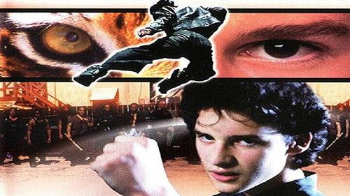 Tiger Heart filmas žiurėti online