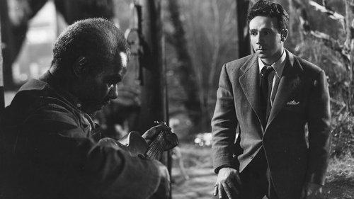 Moonrise filmas žiurėti online