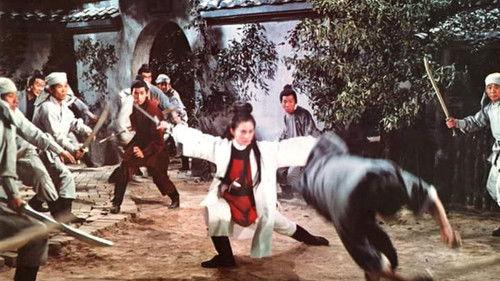 Lady of the Law filmas žiurėti online