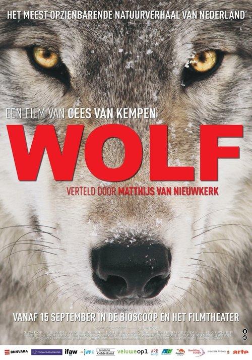 Wolf filmas online