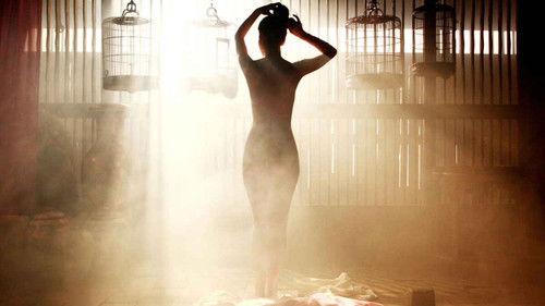 Portrait of a Beauty filmas žiurėti online