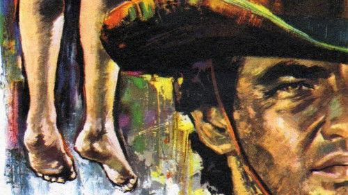 Django Does Not Forgive filmas žiurėti online