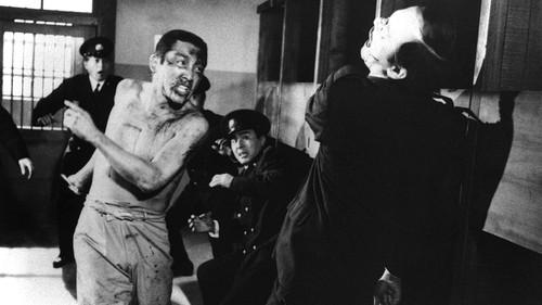 The Rapacious Jailbreaker filmas žiurėti online