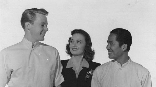 Dr. Gillespie's Criminal Case filmas žiurėti online