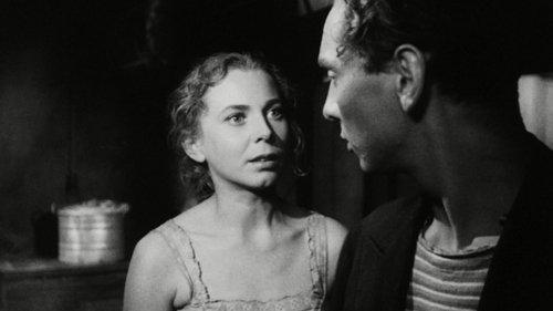 Cień filmas žiurėti online