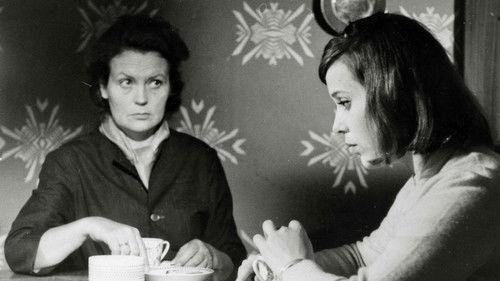 Vaarallista vapautta filmas žiurėti online