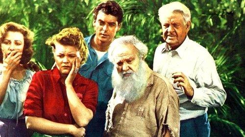 Miraculous Journey filmas žiurėti online