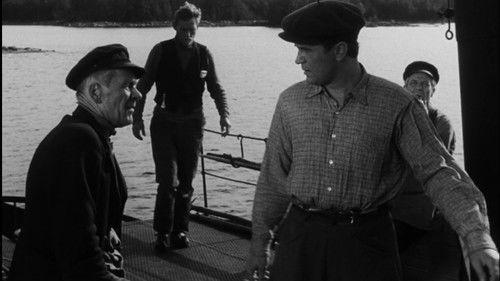 Jumalan myrsky filmas žiurėti online