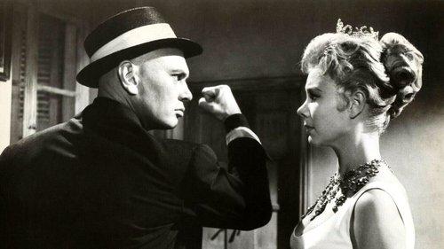 Surprise Package filmas žiurėti online