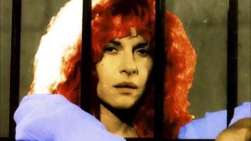 Condemned to Hell filmas žiurėti online