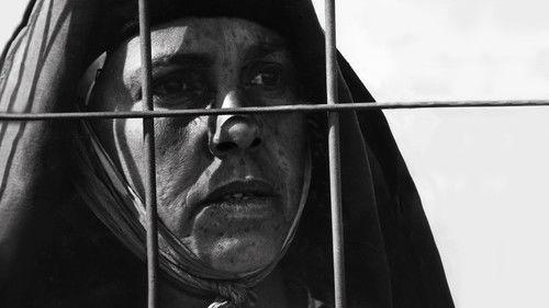 The Winds of the Aures filmas žiurėti online