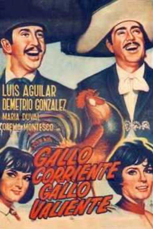 Gallo corriente, gallo valiente filmas online