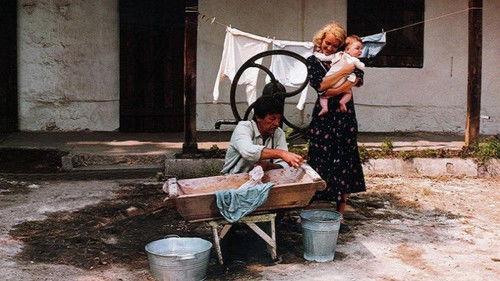 Volley for a Black Buffalo filmas žiurėti online