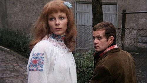 Mosquito the Rapist filmas žiurėti online