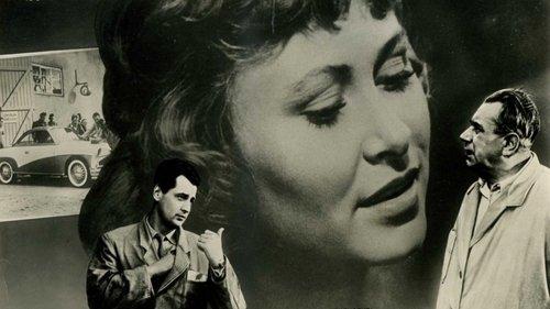 They All Knew Each Other filmas žiurėti online