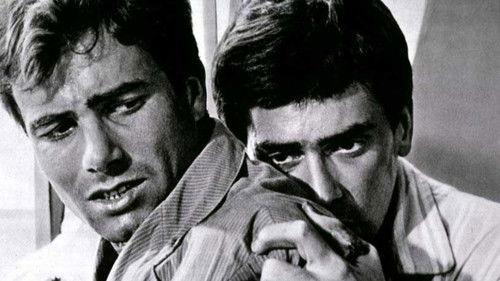 Day by Day, Desperately filmas žiurėti online