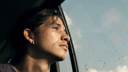 Miraculous Spiral filmas žiurėti online