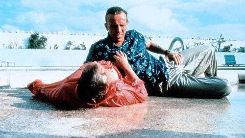 Cat Chaser filmas žiurėti online