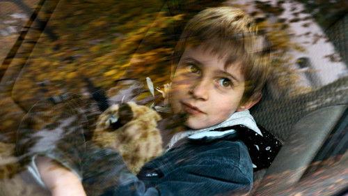 Finsteres Glück filmas žiurėti online