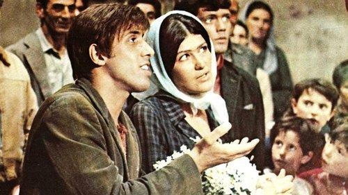 Serafino filmas žiurėti online