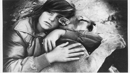 The Trap on Cougar Mountain filmas žiurėti online