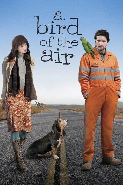 A Bird of the Air filmas online