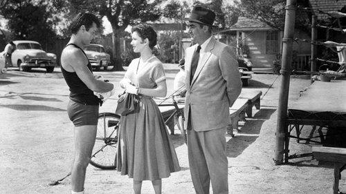 The Square Jungle filmas žiurėti online