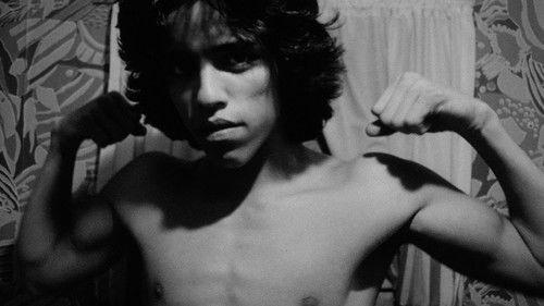 Mala Noche filmas žiurėti online