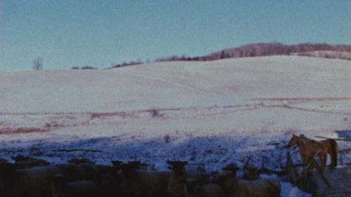 Horizons filmas žiurėti online