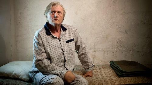 The Heineken Kidnapping filmas žiurėti online