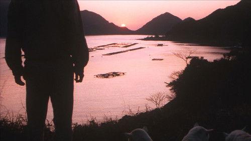 Fire Festival filmas žiurėti online