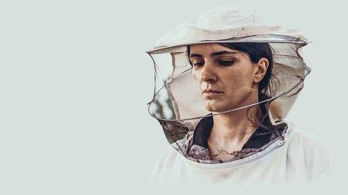 Zgjoi filmas žiurėti online