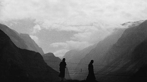 Whirlpool filmas žiurėti online