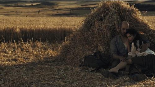 Chrysalis filmas žiurėti online