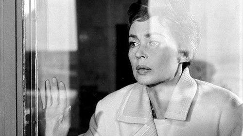 The Glass Tower filmas žiurėti online