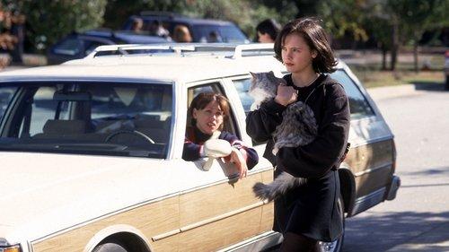 That Darn Cat filmas žiurėti online