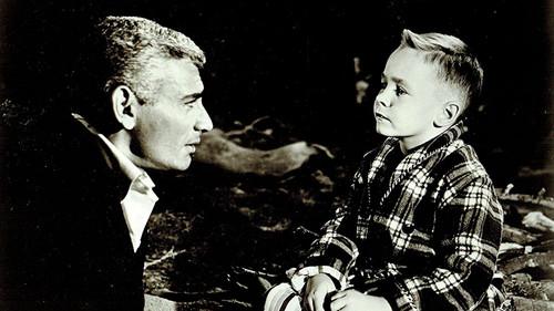 Toy Tiger filmas žiurėti online