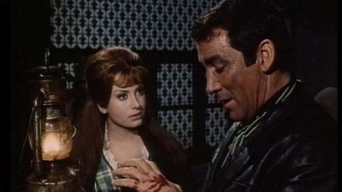 The Last Gun filmas žiurėti online