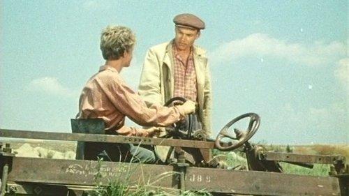 Knight Move filmas žiurėti online