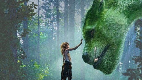 Pito drakonas filmas žiurėti online