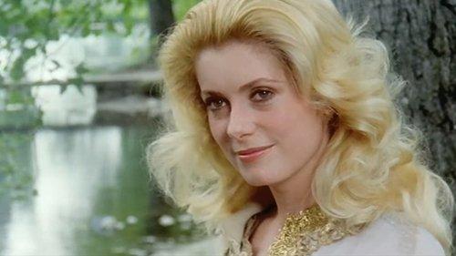 Casotto filmas žiurėti online