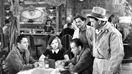 They Drive by Night filmas žiurėti online