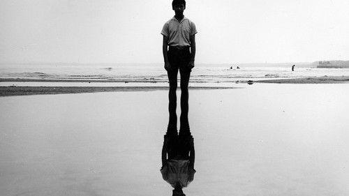 The Russians Are Coming filmas žiurėti online