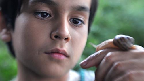 Abel filmas žiurėti online