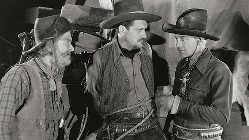 Trail Dust filmas žiurėti online